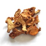Лисичка Гриб, растительный экстракт (Cantharellus Cibarius, extrakt) - собственное производство 